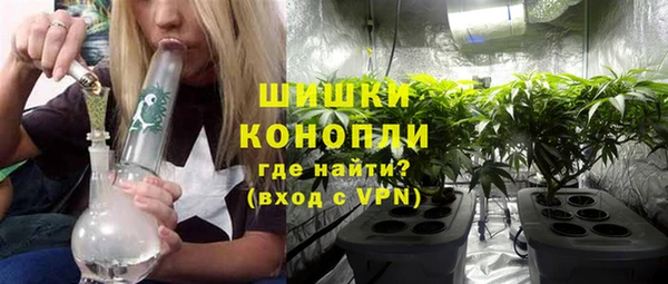 первитин Новодвинск